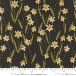Darling Daffodils - BLACK