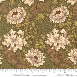 WM (MM) - Chrysanthemum - SAGE