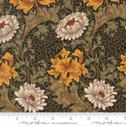 WM (MM) - Chrysanthemum - EBONY