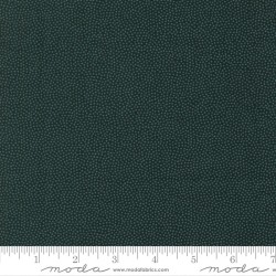 FG (LMB) - Cosmos - INDIGO