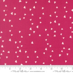 Trimmings - SHOCKING PINK