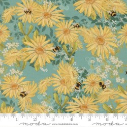 Daisies (Digital) - POND