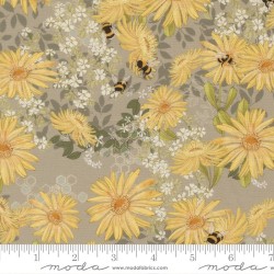 Daisies (Digital) - PEBBLE