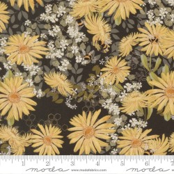 Daisies (Digital) - ONYX