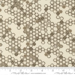 Honeycomb (Digital) - CLOUD
