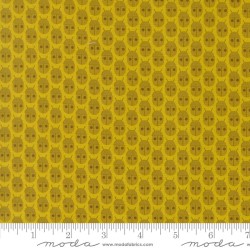 Little Bugs - CITRINE