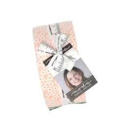 Popcorn - Precut - Jelly Roll (2.5" strips)