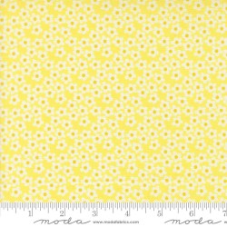 Popcorn Flowers - SUNSHINE