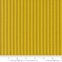 Stripe - CITRINE