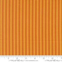 Stripe - LONGHORN