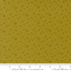 Starlight - PESTO