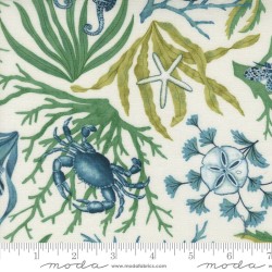 Coastal All Over - SEAFOAM WHITE