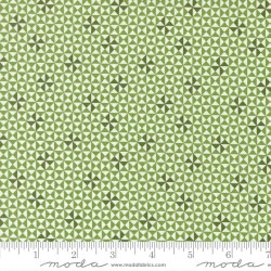 Playful Pinwheel - EVERGREEN