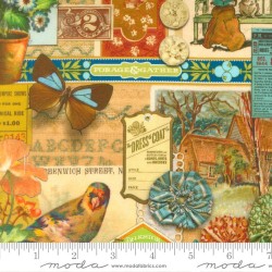 Collage - MULTI