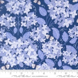Hydrangea - ROYAL