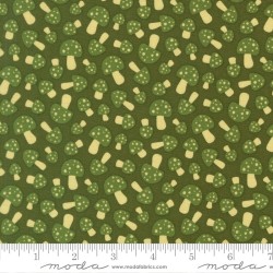 Mushroom - EVERGREEN