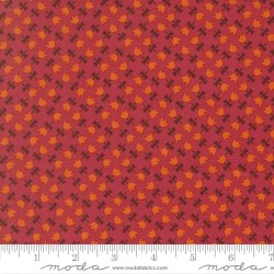 Tulip Lattice - CHRYSANTHEMUM
