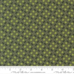 Tulip Lattice - FOREST