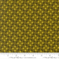 Tulip Lattice - PICKLE