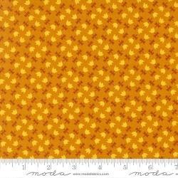 Tulip Lattice - CHAI
