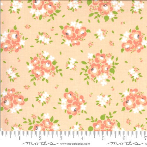 Spring Blooms - APRICOT