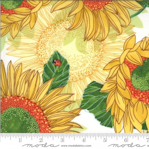 Sunflowers - CREAM