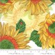 Sunflowers - CREAM