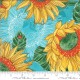 Sunflowers - POND