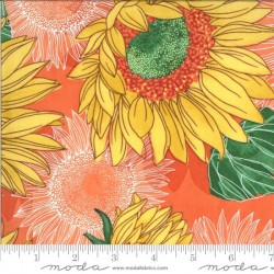 Sunflowers - CLEMENTINE