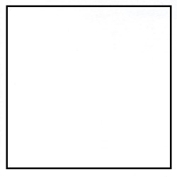Flannel Plain Solid (Cuddle) - WHITE
