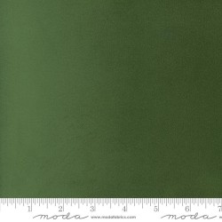 Quilting Cuddle - Solids (100% poly) - CACTUS