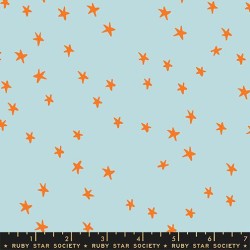 RSS - Starry  - POLAR