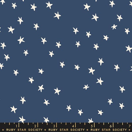 RSS - Starry - NAVY