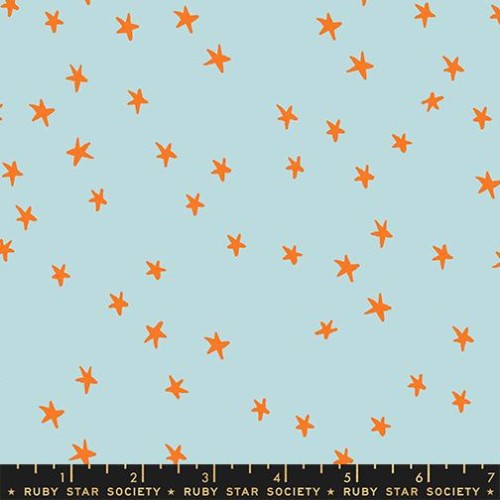 RSS - Starry  - POLAR