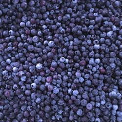 Blueberry - BLUEBERRY