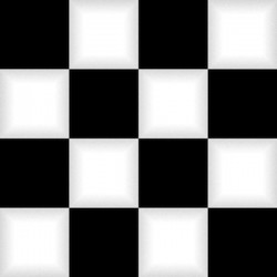 Checkerboard - BLACK/WHITE