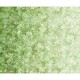 Floralessence Ombre  - LIME