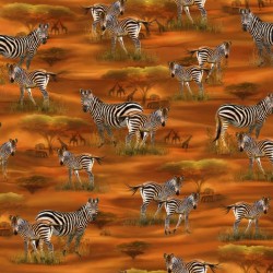 Zebra Scenic - ORANGE