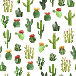 Cactus-WHITE