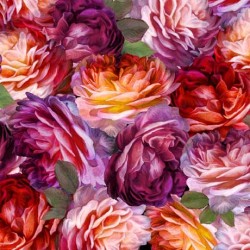 Packed Roses - MULTI