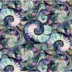 Clustered Shells - MULTI