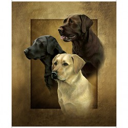 Labrador Picture Panel - 90cm