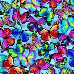Packed Butterflies - BLUE