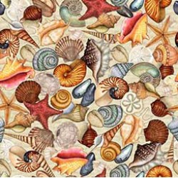 Packed Seashells - CREAM