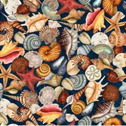 Packed Seashells - NAVY