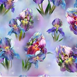 Irises - MULTI
