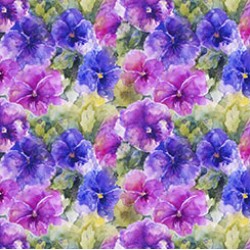 Packed Pansy - MULTI