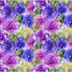 Packed Pansy - MULTI