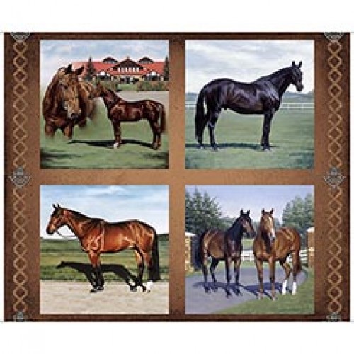 Horse Picture Patches Panel - 90cm