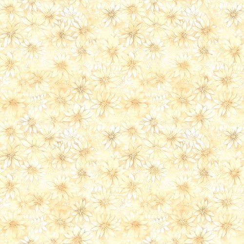 Daisies-Cream